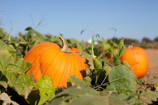 time-to-prepare-your-pharmacy-for-winter-weather